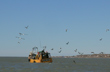 Pescando - Foto: Jorge Gonz�lez