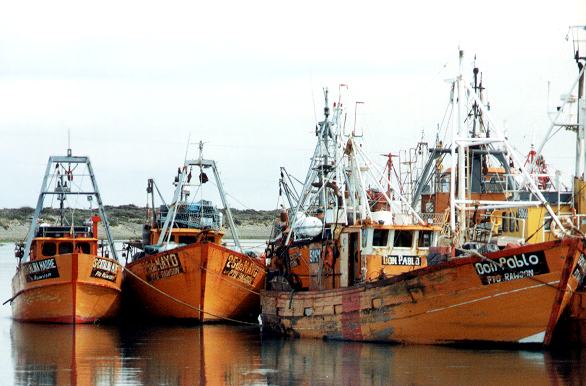 View of the Harbor - Author: Santiago Gaudio