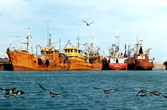 Puerto - Autor: Marcelo Fuhr