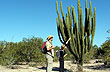 Cuidado...Cardón - Foto: Sub.Secretaria de Turismo de la Provincia del Chaco Cuidado...Cardón - Foto: Sub.Secretaria de Turismo de la Provincia del Chaco