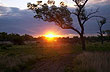 Atardecer en Paleocauce - Foto: Sub.Secretaria de Turismo de la Provincia del Chaco Atardecer en Paleocauce - Foto: Sub.Secretaria de Turismo de la Provincia del Chaco