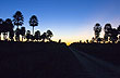 El Palmar...ocaso - Foto: Sub.Secretaria de Turismo de la Provincia del Chaco El Palmar...ocaso - Foto: Sub.Secretaria de Turismo de la Provincia del Chaco