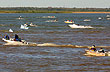 Pesca Internacional - Foto: Sub.Secretaria de Turismo de la Provincia del Chaco Pesca Internacional - Foto: Sub.Secretaria de Turismo de la Provincia del Chaco