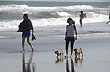 Caminata d�aria - Foto: Jorge Gonz�lez