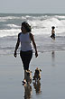 Paseo d�ario - Foto: Jorge Gonz�lez