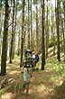Trekking en el bosque - Foto: Agencia Córdoba DACyT Trekking en el bosque - Foto: Agencia Córdoba DACyT