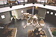 Museo Manuel Jes�s Molina - Foto: Direcci�n de Turismo de Rio Gallegos
