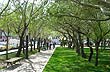 Plaza San Mart�n - Photo: Marcelo Sola