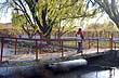 Bridge over the creek - Photo: Eduardo Epifanio