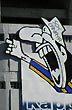Hincha fan�tico - Foto: Jorge Gonz�lez