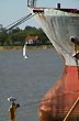 Postal n�utica - Foto: Jorge Gonz�lez