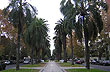 Paseos verdes por la ciudad - Foto: Marcelo Sola