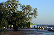 Parque Espa�a - Foto: ETUR - Ente Tur�stico de Rosario