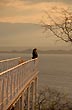 Mirador de la isla, Dique Cabra Corral - Photo: Jorge Gonz�lez