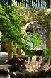 Postal del Parque Telef�rico - Photo: Jorge Gonz�lez