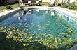 Piscina en otoño - Foto: Pablo Etchevers Piscina en otoño - Foto: Pablo Etchevers
