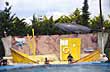 Un delf�n a los saltos - Foto: Secretar�a de Turismo Municipalidad de la Costa
