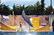 Mundo Marino - Foto: Secretar�a de Turismo Municipalidad de la Costa