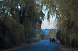 Calle de Barreal - Foto: Ricardo Druck