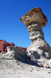 El hongo en el Valle de la Luna - Photo: Marcelo Sola