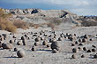 Enigma de las bochas - Foto: Jorge Gonz�lez