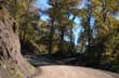 Pintoresco camino - Photo: Jorge Gonz�lez