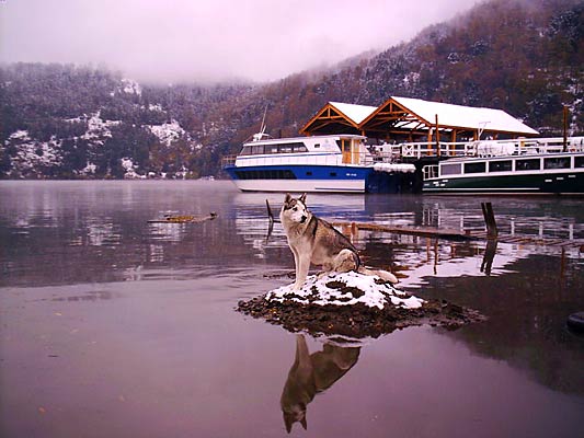 Contemplando el lago - Author: Jorge Gonz�lez