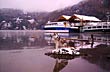 Contemplando el lago - Photo: Jorge Gonz�lez