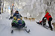 Motos y perros - Photo: Jorge Gonz�lez