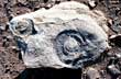 Vestigios de la evolución del planeta tierra - Photo: Santiago Gaudio Vestigios de la evolución del planeta tierra - Photo: Santiago Gaudio