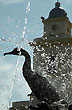Fuente y catedral - Photo: Jorge Gonz�lez