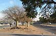 Costanera - Photo: Jorge Gonz�lez