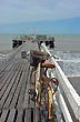 Muelle de Mar del Tuyú - Foto: Pablo Etchevers Muelle de Mar del Tuyú - Foto: Pablo Etchevers