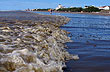 Agua salada... - Foto: Santiago Gaudio Agua salada... - Foto: Santiago Gaudio