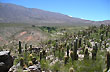 Cardones - Amaich� del Valle - Foto: Ente Tucum�n Turismo