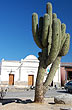 Monumento norte�o - Foto: Eduardo Epifanio