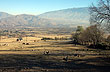 Valle del Taf� - Foto: Eduardo Epifanio