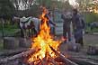 El fin de una jornada de cabalgata - Photo: Pablo Etchevers El fin de una jornada de cabalgata - Photo: Pablo Etchevers