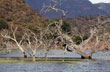 Paisaje del norte - Foto: Pablo Etchevers Paisaje del norte - Foto: Pablo Etchevers