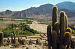 Como dedos de Tilcara - Foto: Cristina Sabaliauskas - Welcomeargentina.com