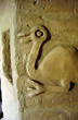 Origen ancestral - Foto: Pablo Etchevers