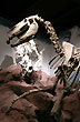 Museo Egidio Feruglio - Foto: Jorge Gonz�lez