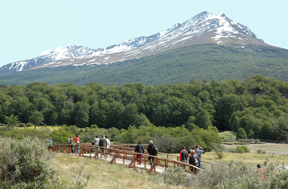 Parque Nacional Tierra del Fuego - Author: Osvaldo Peralta - Gentileza INFUETUR