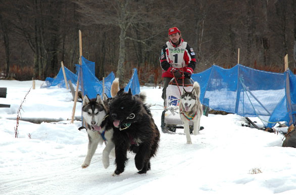Sled Dog Race - Author: Osvaldo Peralta - Gentileza INFUETUR