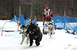 Sled Dog Race - Photo: Osvaldo Peralta - Gentileza INFUETUR