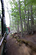 Tren del fin del mundo - Photo: Jorge Gonz�lez