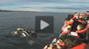 Whale watching in Puerto Pir�mides