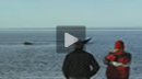 Whales in El Doradillo - Puerto Madryn