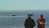 Ballenas en El Doradillo - Puerto Madryn