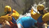 Rafting en el R�o Juramento 